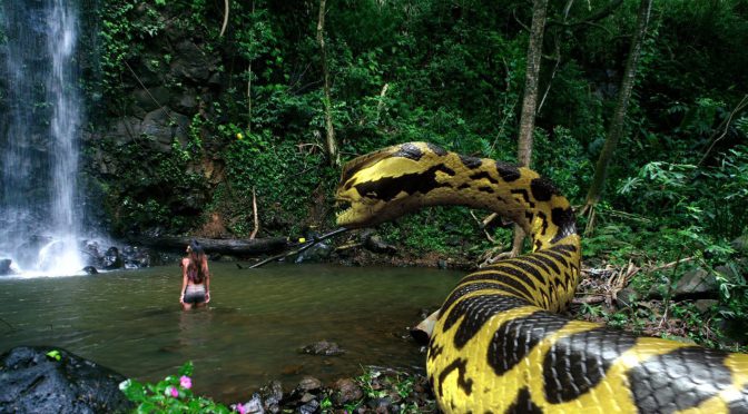 Pirañaconda (2012) – No le toques los huevos…