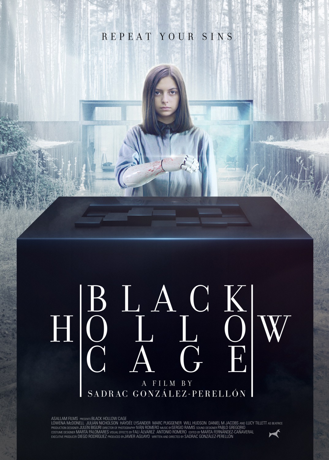 Cartel de Black Hollow Cage, de 2017.