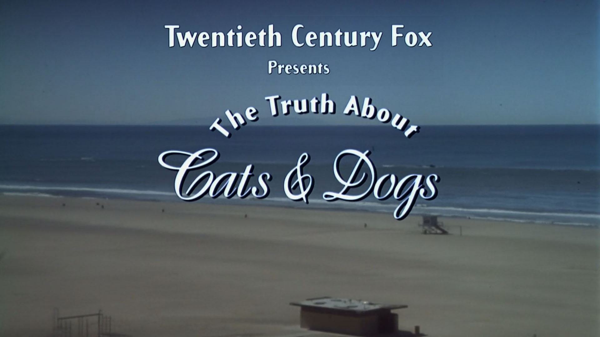 La verdad sobre perros y gatos (1996), ingenio y química